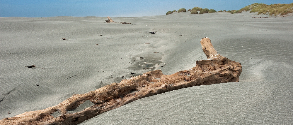 Kahurangi a Farewell Spit
