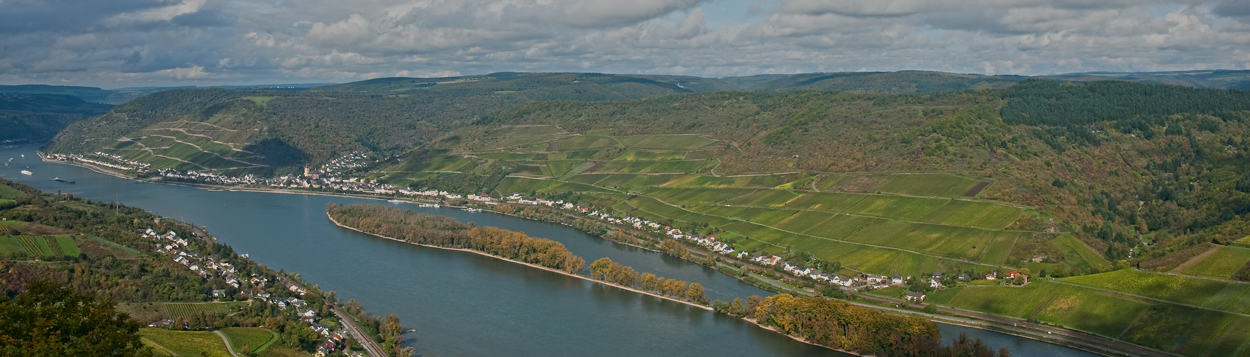 Německo podzimní Rýn s vinicemi Oberheimbach 2014