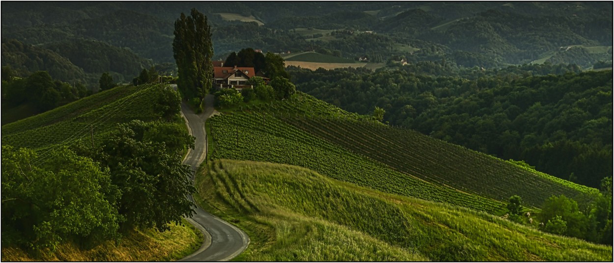 Steiermark, červen 2025-obyčejná silnička Glanzer Kellerstraße, tedy pokud se po ní nevracíte z nejbližšího Buschenschank při západu slunce