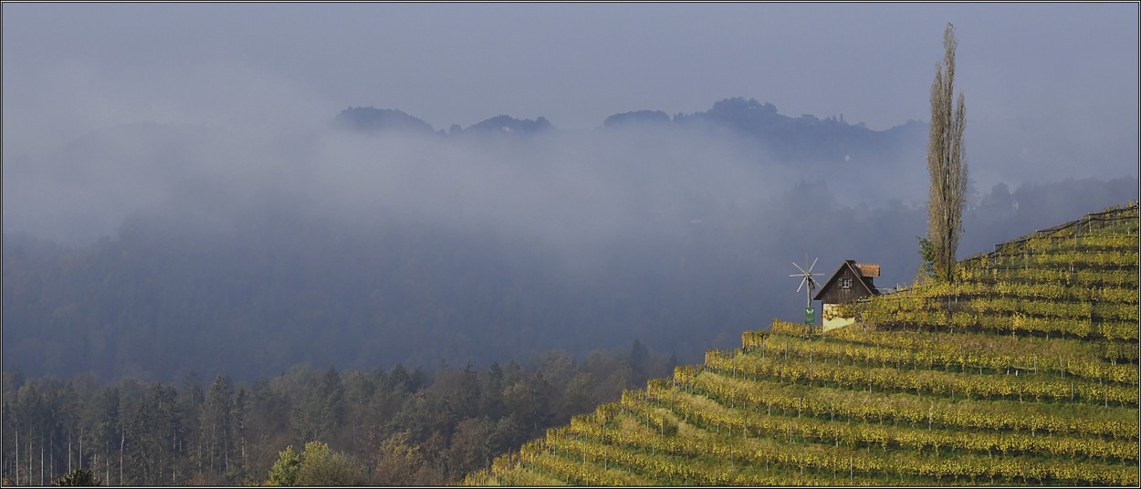 Steiermark - Seggauberg, podzimní cesta vinicemi na Kreuzkogelwarte 498 mnm, říjen 2018  