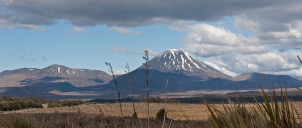 New Zeland   NP Tongariro 2011