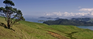 New Zeland  poloostrov  Coromandel 2011