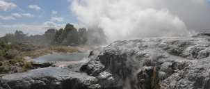 New Zeland   Rotorua  2011