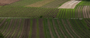 Rakousko Kamptal Zöbing 2015