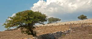 Sicilie - náhorní plošina 2016