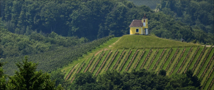 Steiermark, červen 2025-blízkost Slovinska...
