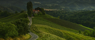 Steiermark, červen 2025-obyčejná...