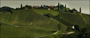 Steiermark, červen 2025 Weinidylle...
