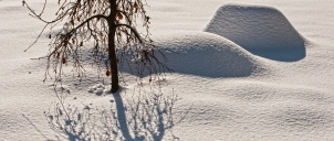 Stíny I  2010